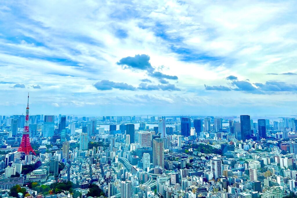 東京タワーをのぞむ東京の景色