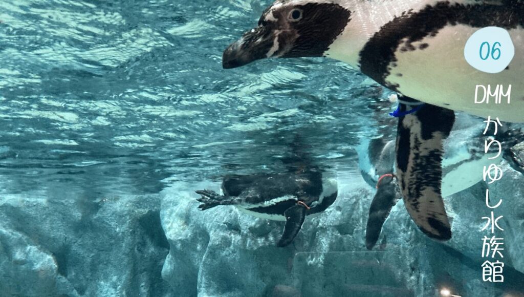 DMM かりゆし水族館