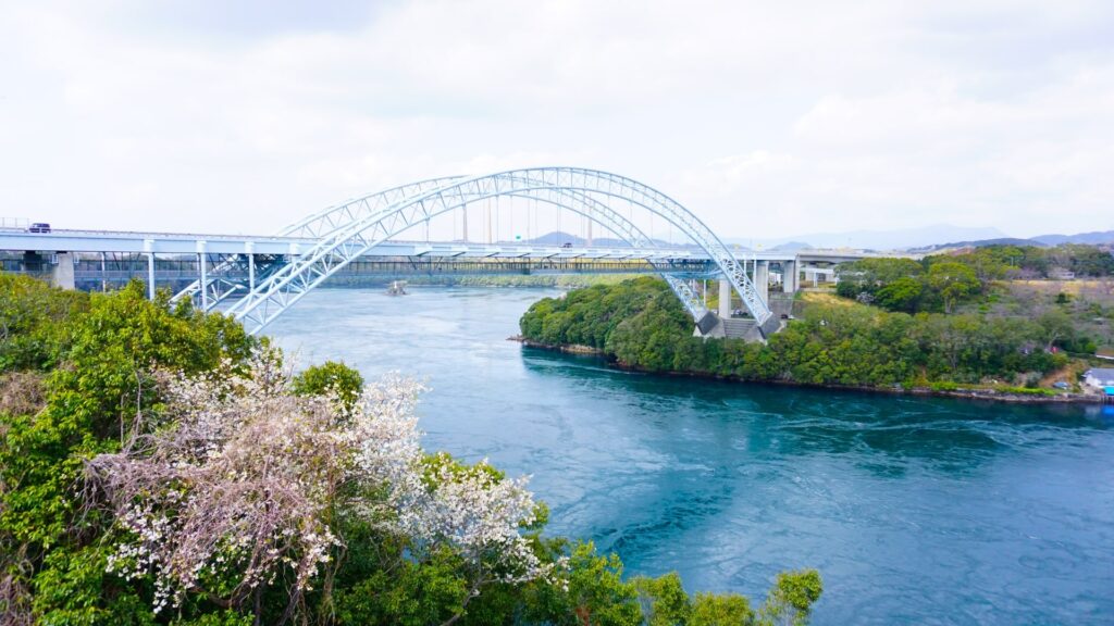 新西海橋　桜