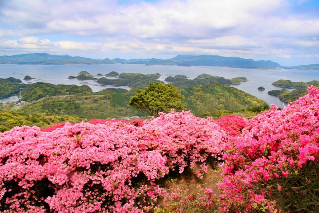 長串山公園のつつじの風景