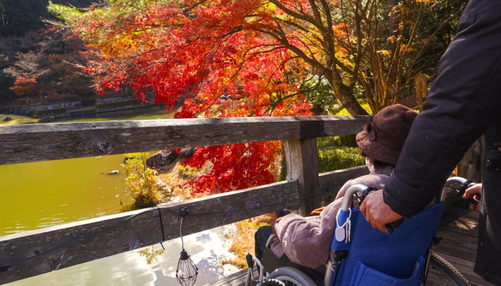 紅葉の風景を楽しんでいる車椅子の女性