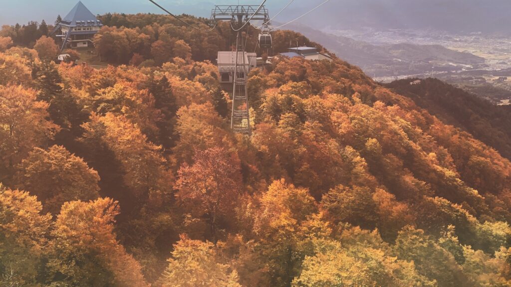 ロープウェイと紅葉した山肌