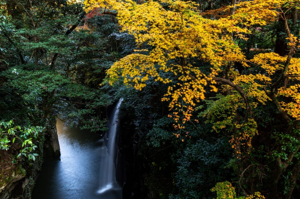 紅葉と高千穂峡