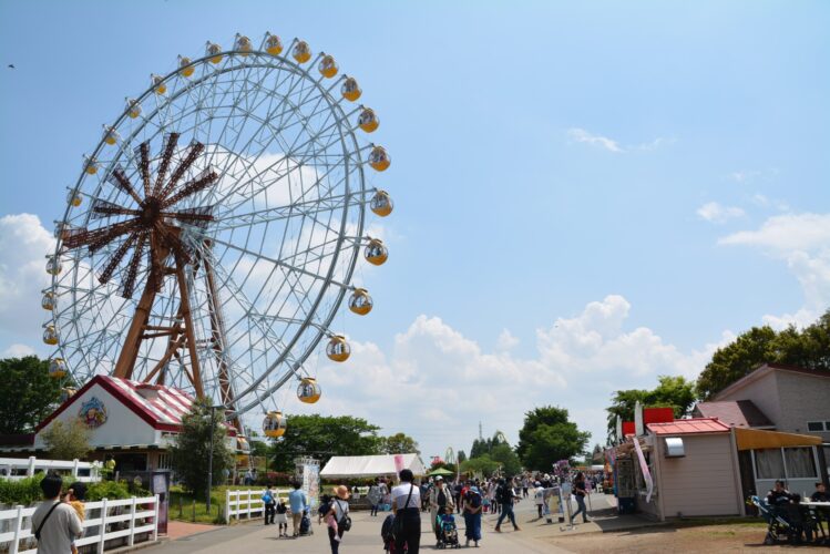 観覧車のあるテーマパーク